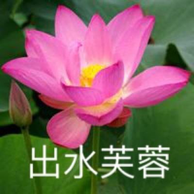 命运之夜游戏手机版下载